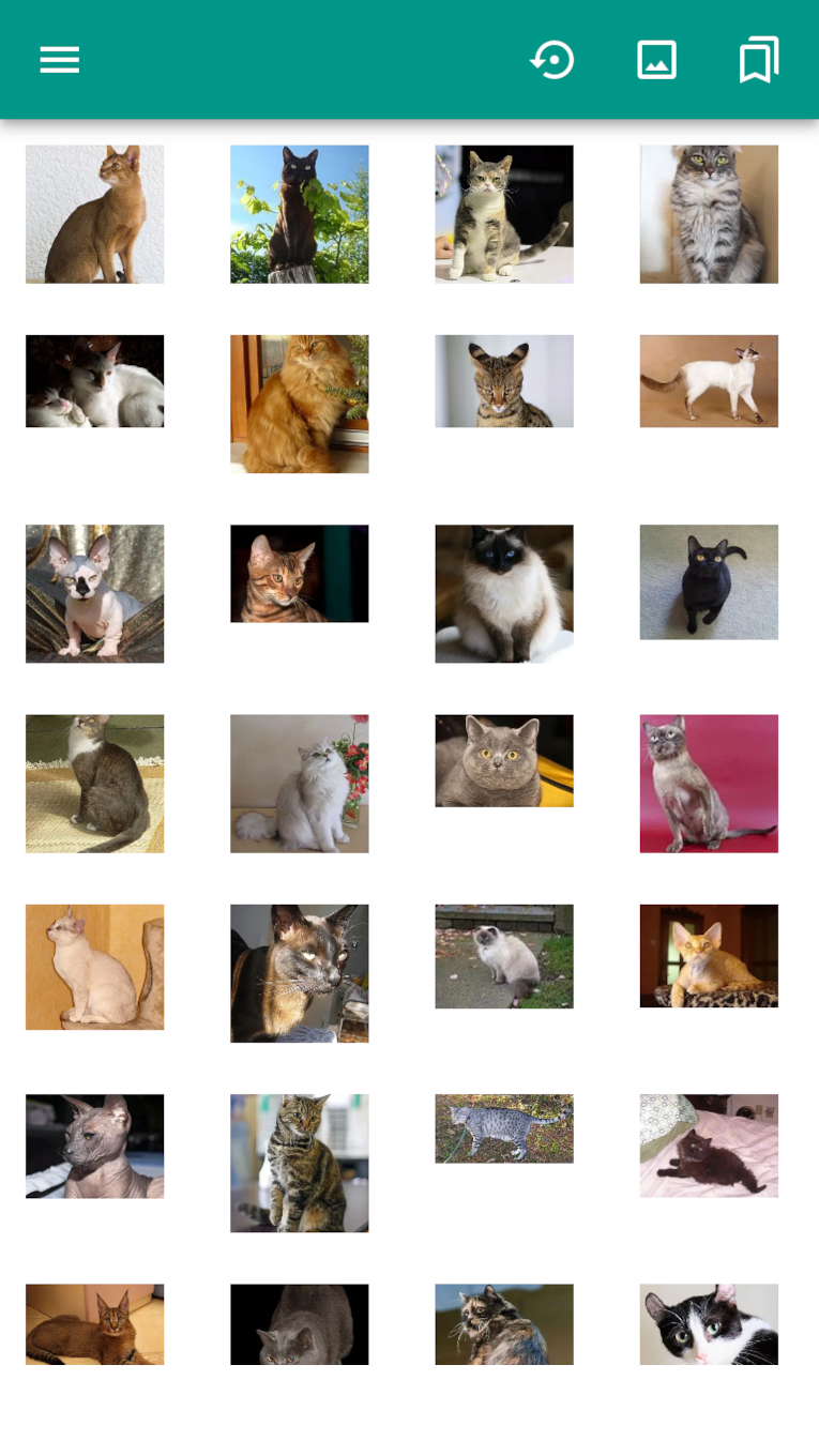 Скриншот приложения «Породы кошек (викторина)» №1