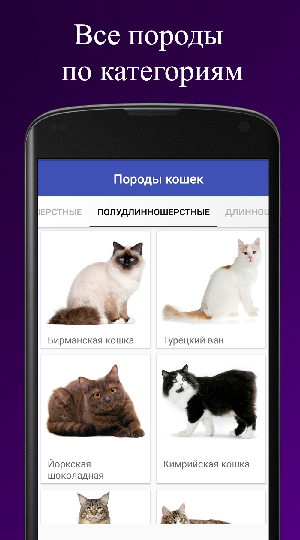 Скриншот приложения «Породы кошек» №2