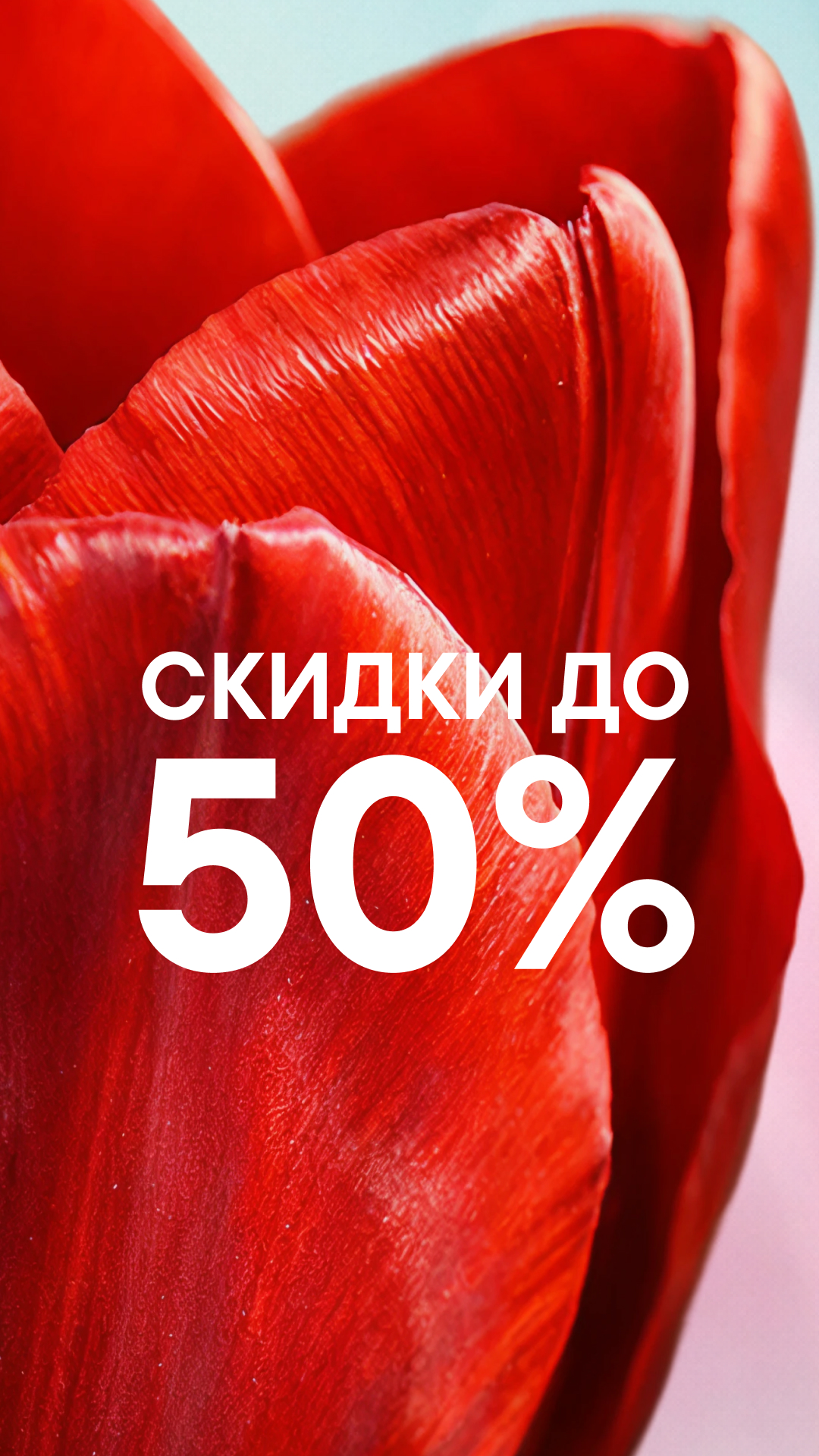 Cкриншот