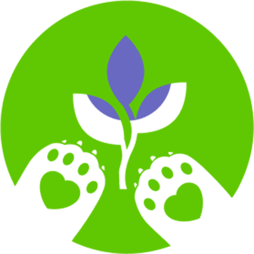 Иконка приложения Место силы