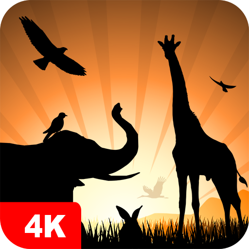 Иконка приложения «Обои с животными 4K»