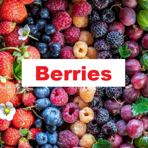 Иконка приложения WordLearner Berries