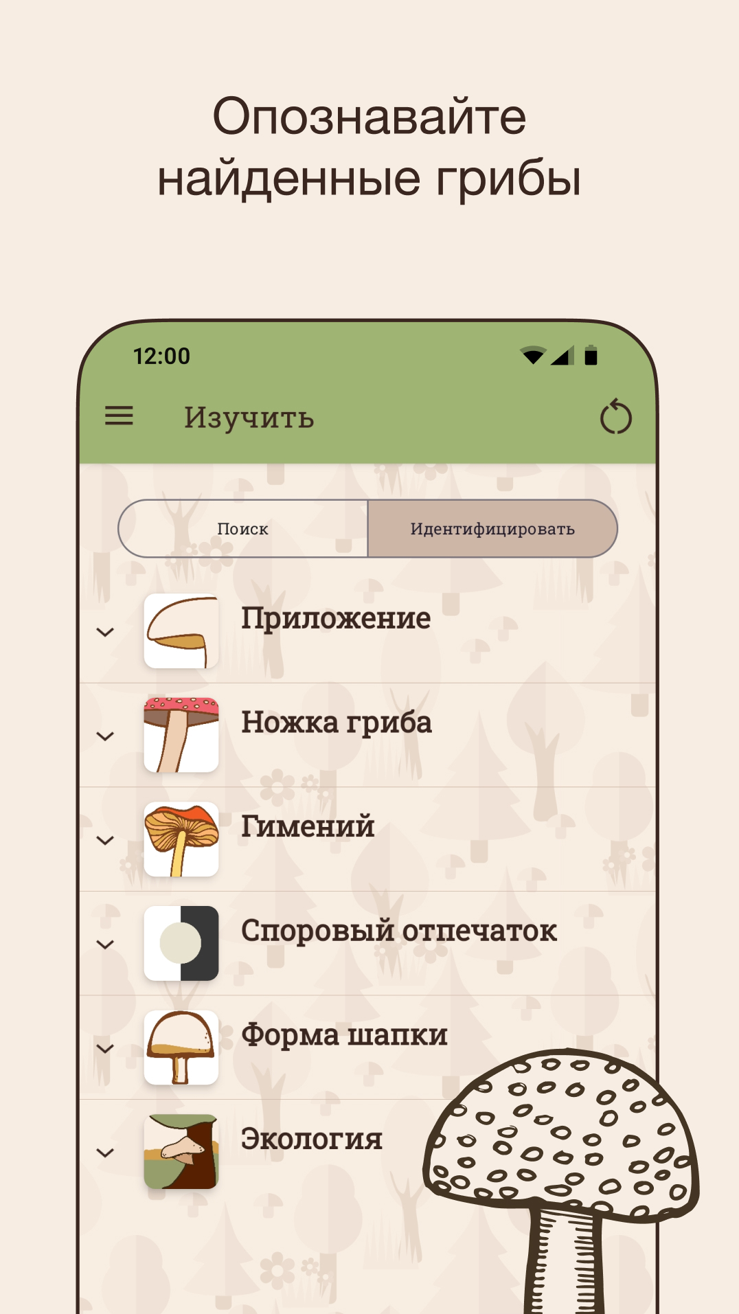 Cкриншот