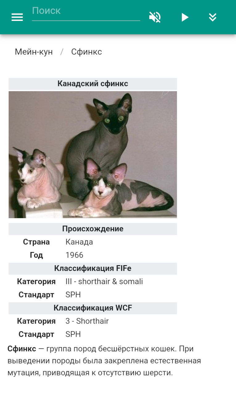 Скриншот приложения «Породы кошек (викторина)» №5