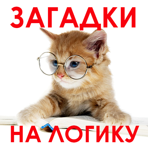 Иконка приложения 1000 и одна загадка. Ребусы и шарады.