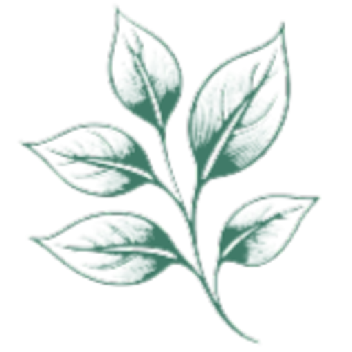 Иконка приложения Доставка цветов в Ярославле Мята