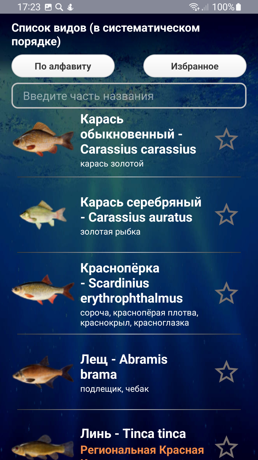 Рыба красноглазка — фото и описание