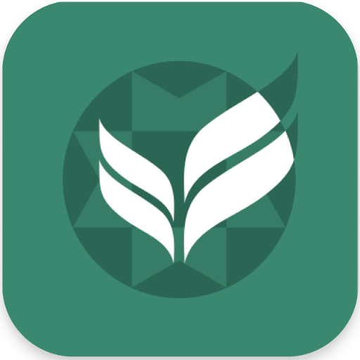 Иконка приложения Аптека 24farmacia.ru