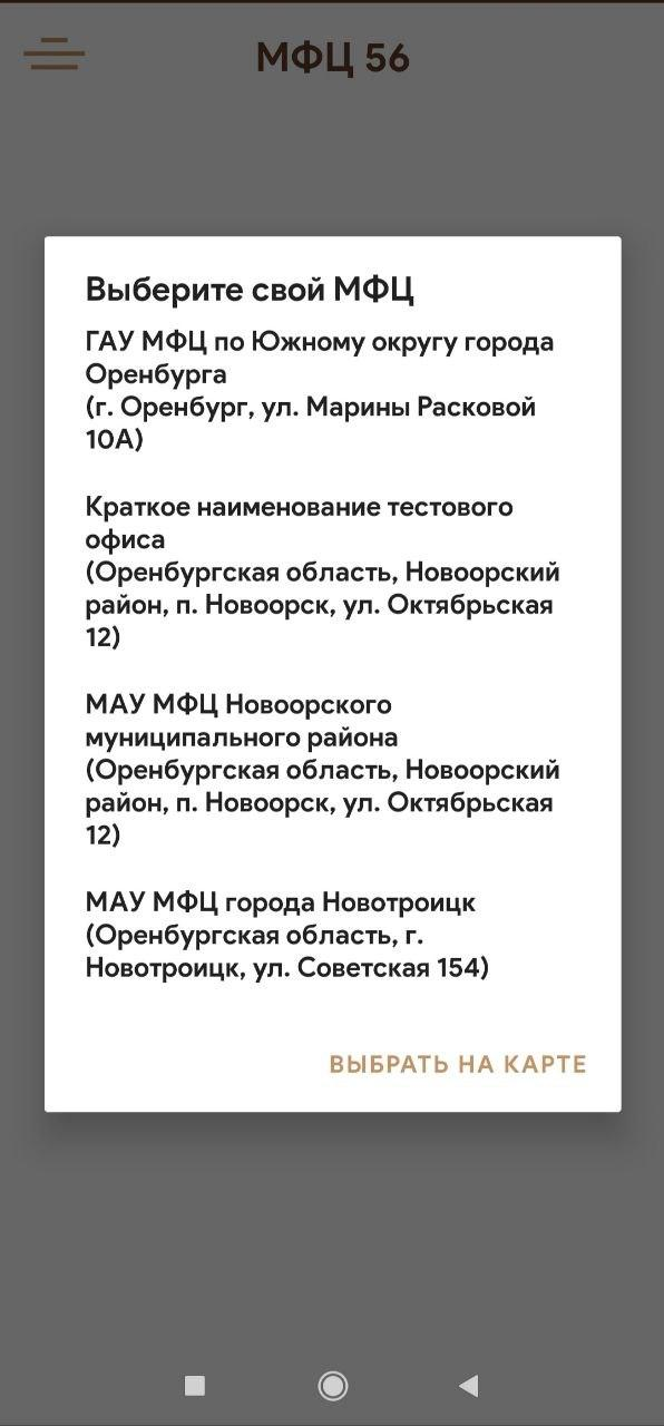 Скриншот приложения «МФЦ Оренбургской области» №4