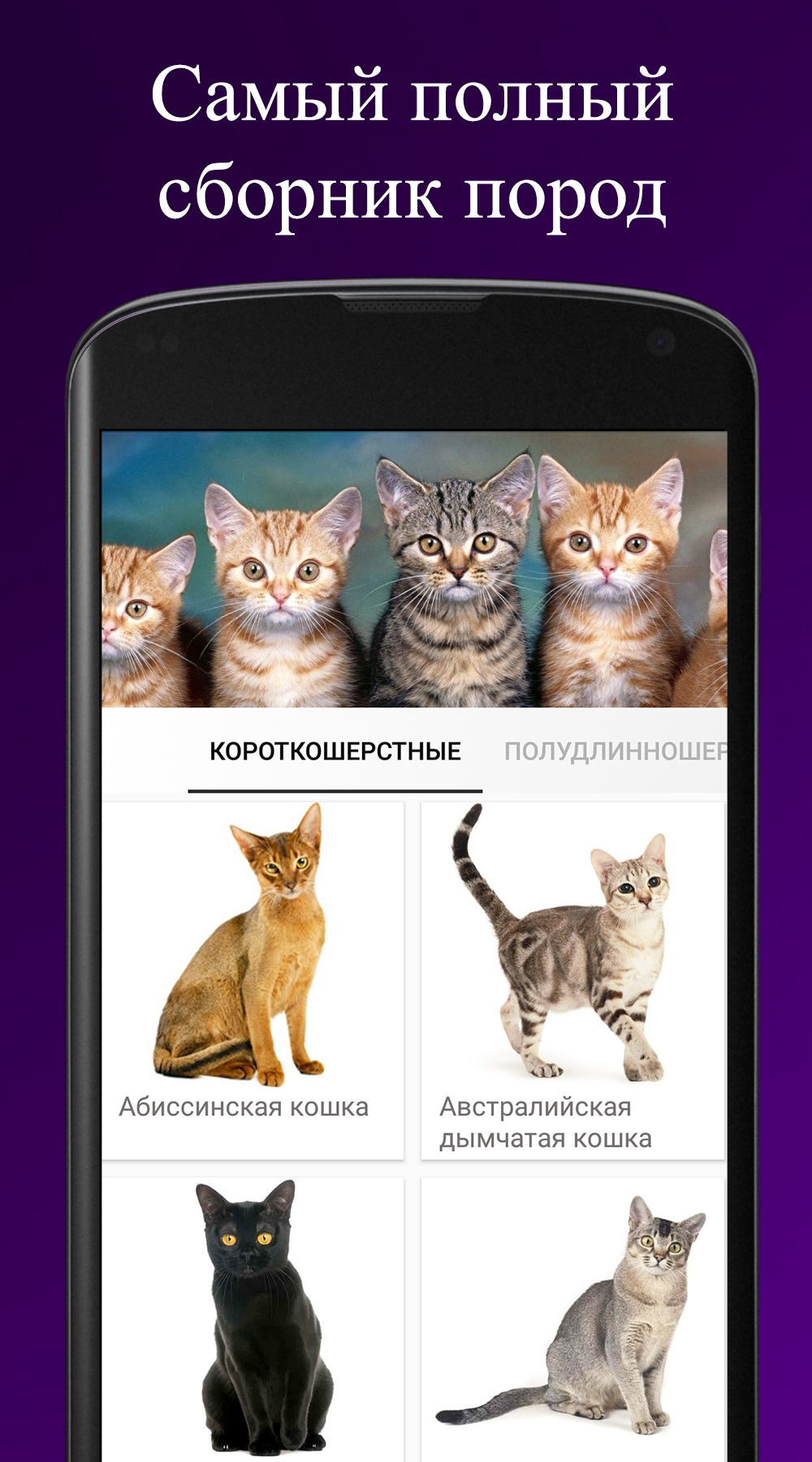Скриншот приложения «Породы кошек» №1