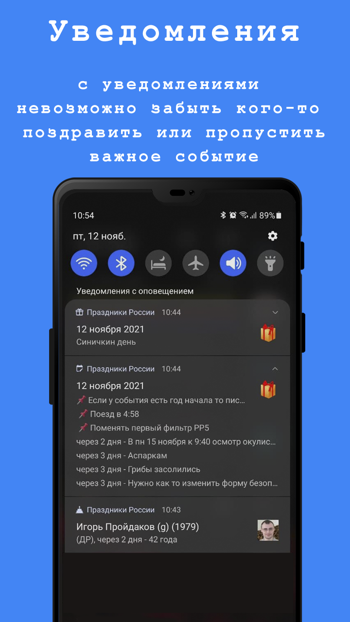 Скриншот приложения «Праздники России» №6