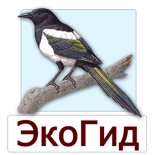 Иконка приложения ЭкоГид: Птицы средней полосы