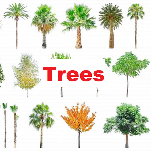 Иконка приложения WordLearner Trees