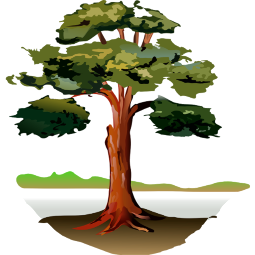 Иконка приложения «Каталог деревьев»