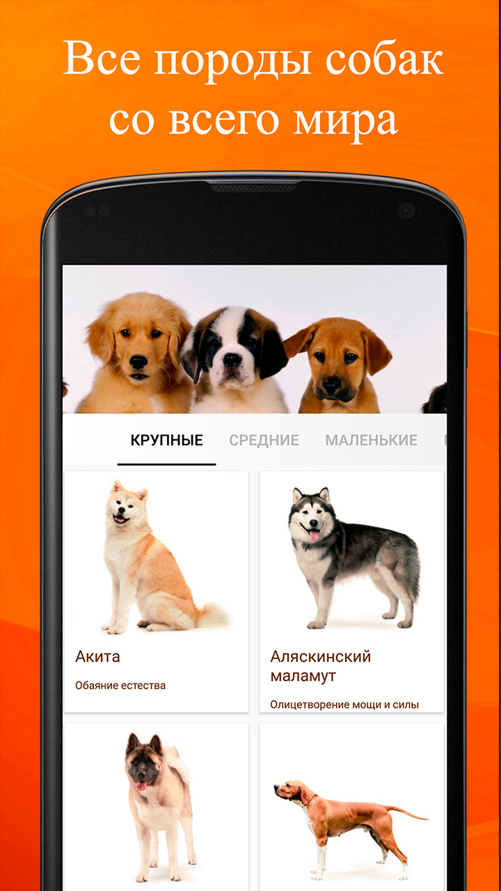 Скриншот приложения «Породы собак» №1