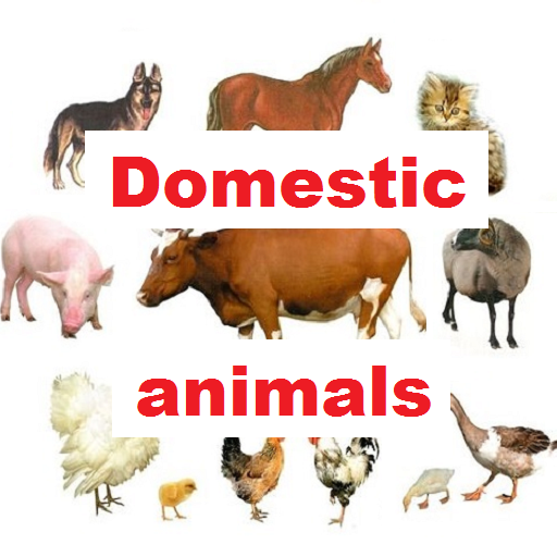 Иконка приложения WordLearner Domestic animals
